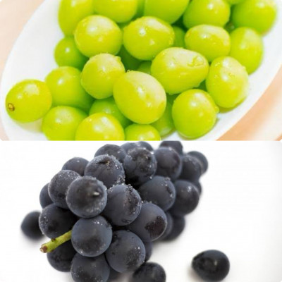 【お中元 熨斗付】 シャインマスカット と 巨峰 桐箱入り 