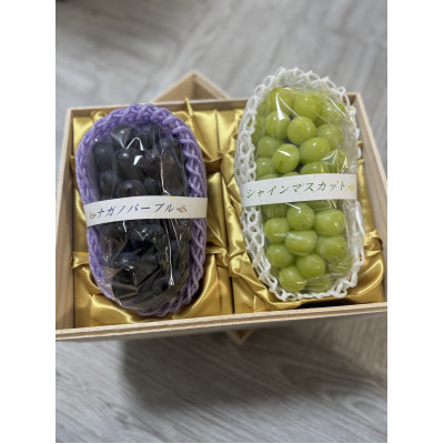 【お中元 熨斗付】 桐箱入り ナガノパープル 1房・シャイマ