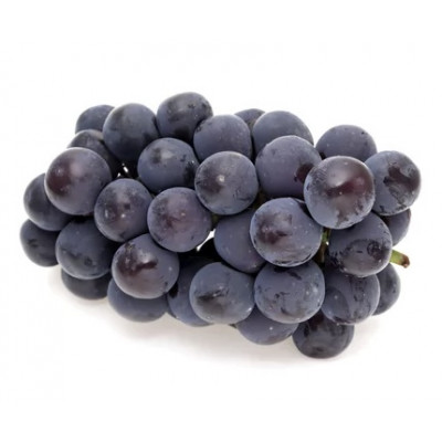 ピオーネ 700g × 1房 ＜2026年8月より順次発送＞ (県内共通返