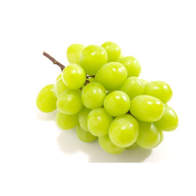 旬なぶどう おまかせ 食べ比べ 700g × 5房 ＜2026年8月より順