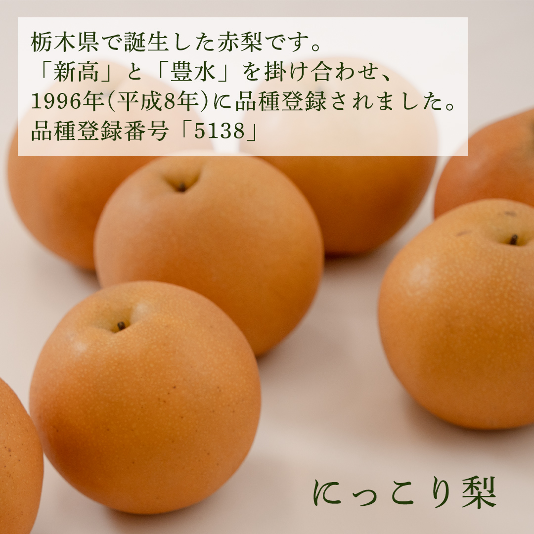 ＜農家直送＞梨 にっこり 4～6個 (3kg) 先行予約 2026年発送 完