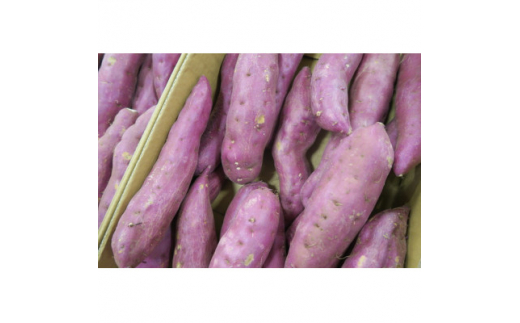 さつまいも　紅はるか　栽培期間中農薬不使用栽培　3kg (BJ0