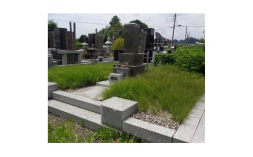 茨城県城里町内の墓地清掃代行サービス　16平方メートル(5