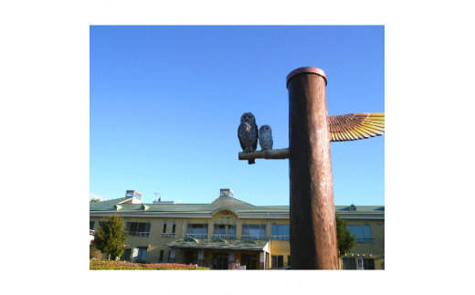 ホロルの湯　招待券 10枚 (BG001)