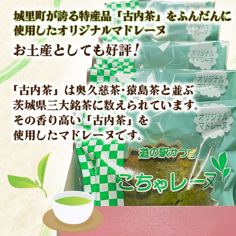 こちゃレーヌ５個入り (AF030)