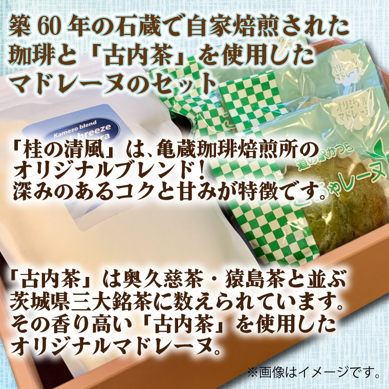 珈琲とこちゃレーヌ3個セット【桂の清風(粉)】(AF086)