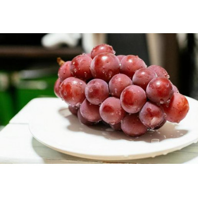 シャインマスカット と ゴルビー 桐箱入り 2房 ＜2026年9月よ