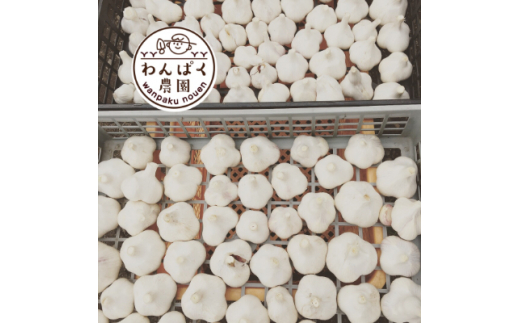 わんぱく農園の黒にんにく (BT001)