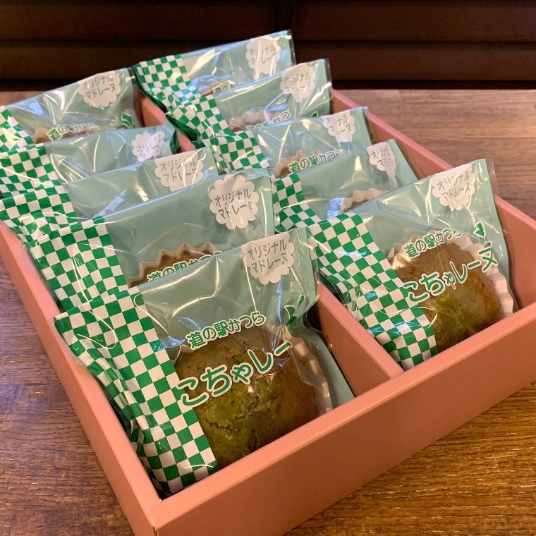 こちゃレーヌ10個入り (AF046)