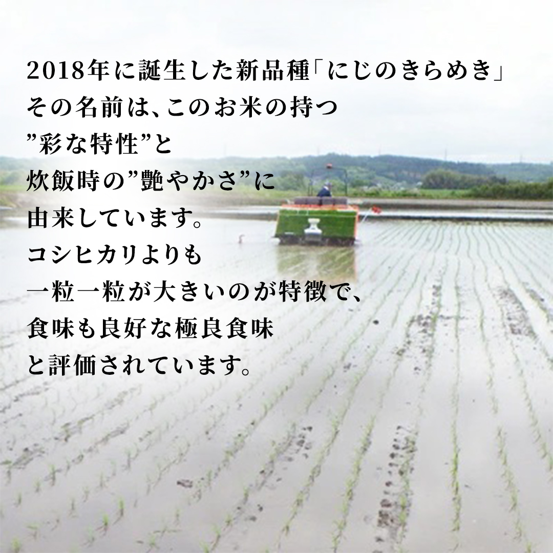 ＼最短3営業日以内出荷／ にじのきらめき 精米 5kg 令和7年
