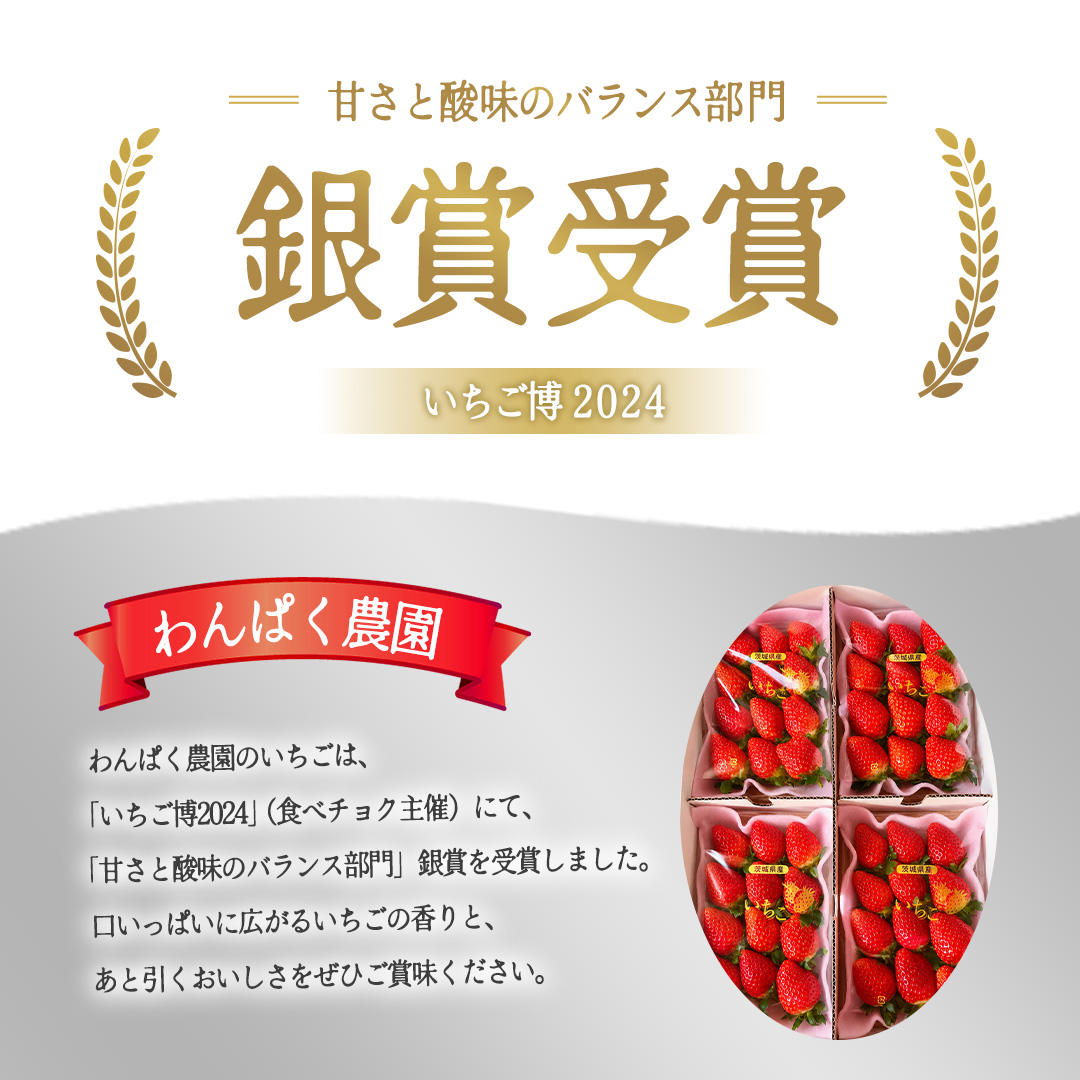 【2027年1月発送】 とちおとめ 約1kg （280g × 4パック）(BT002)