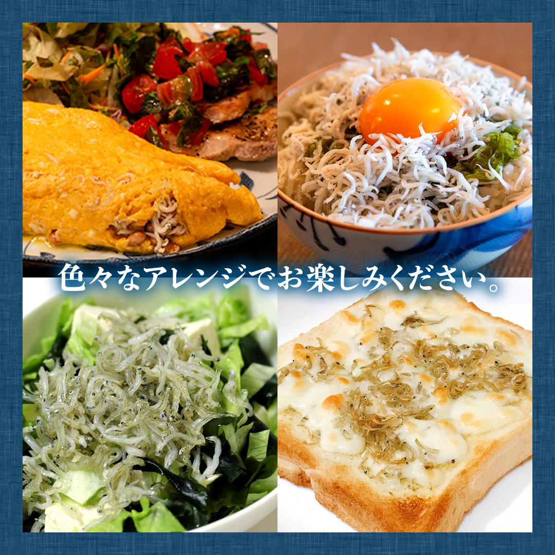 【3回定期便】大津港水揚げの釜揚げしらす 1.5kg(250g×2パッ