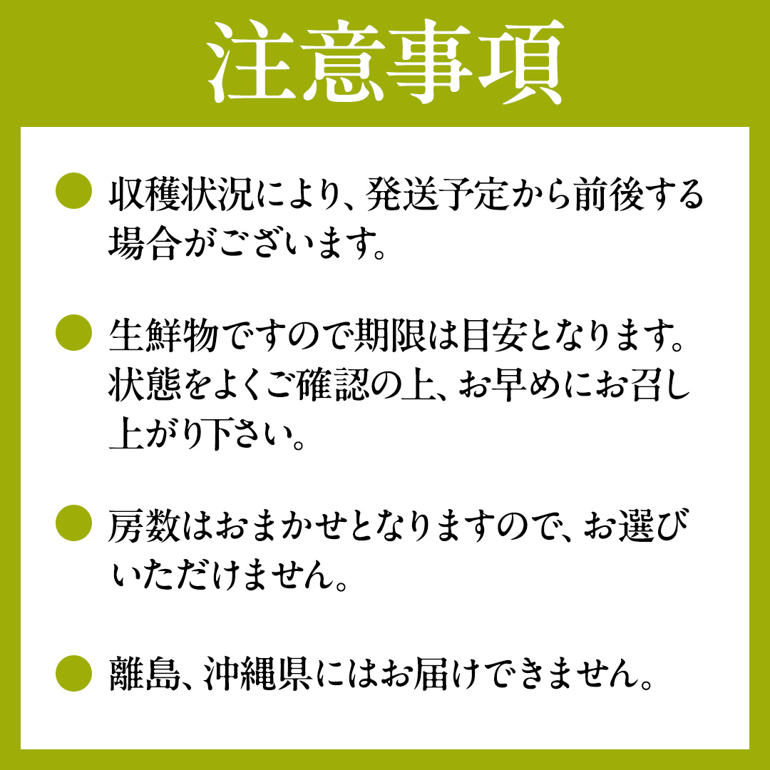【3回定期便】 シャインマスカット 7～9房(約5kg)  (県内共通
