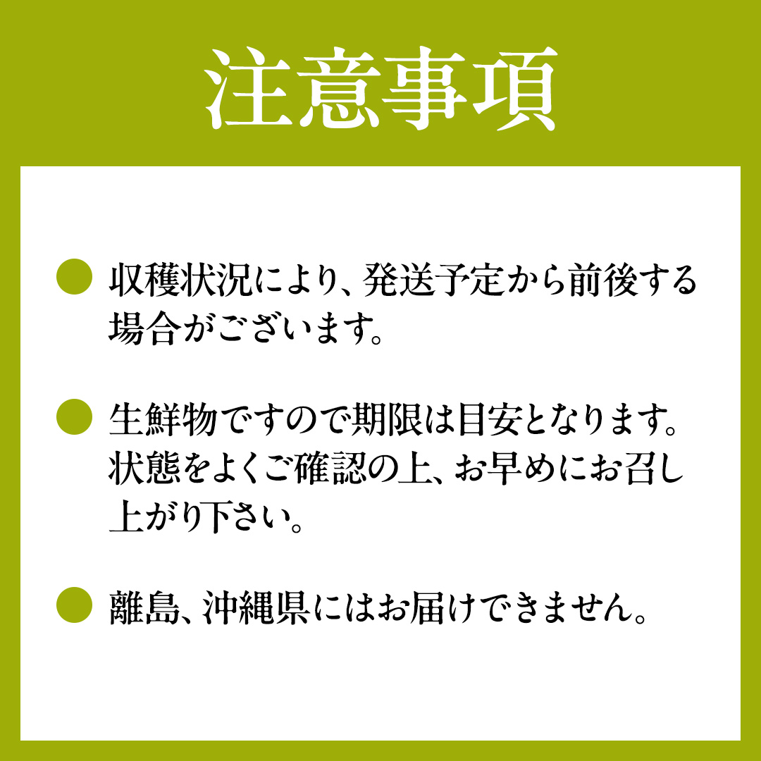 【3回定期便】 シャインマスカット 2房  (県内共通返礼品:か