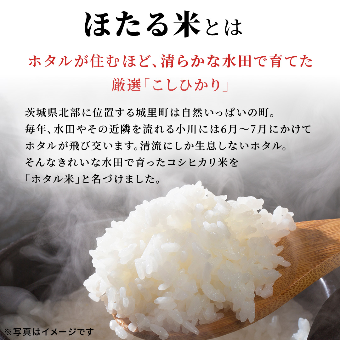 ≪新米≫【無洗米】コシヒカリ ホタル米 20kg スピード発送 