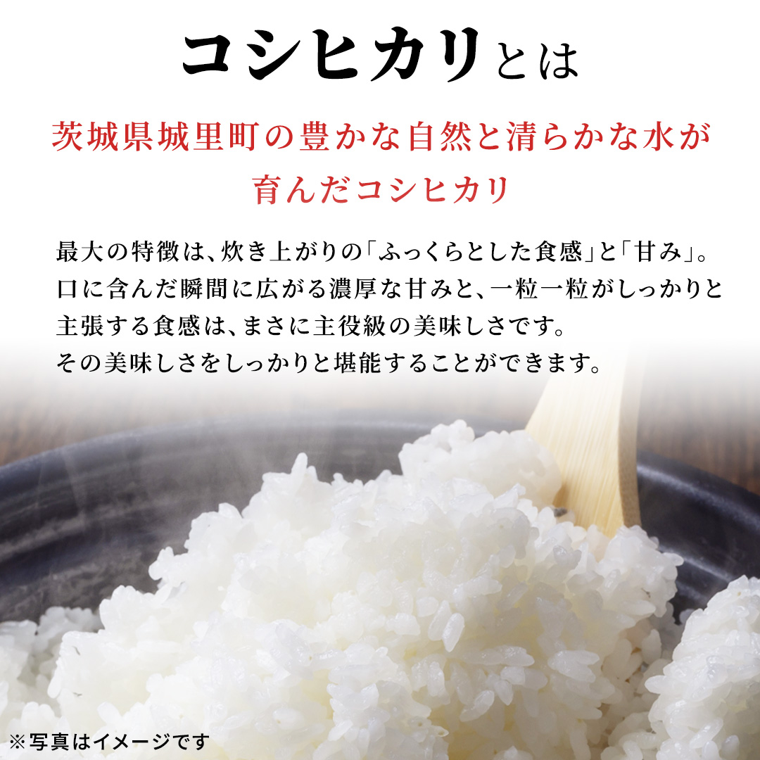 【12ヵ月 定期便】 コシヒカリ 10kg ×12回 令和8年産 [AX089]