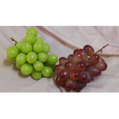 訳あり 巨峰 約2kg ＜2026年10月より順次発送予定＞ 先行予約 