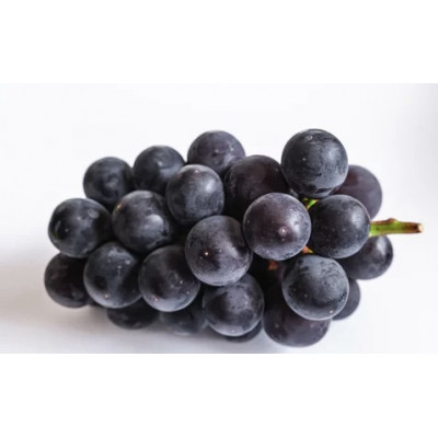 旬なぶどう おまかせ 食べ比べ 700g × 5房 ＜2026年8月より順