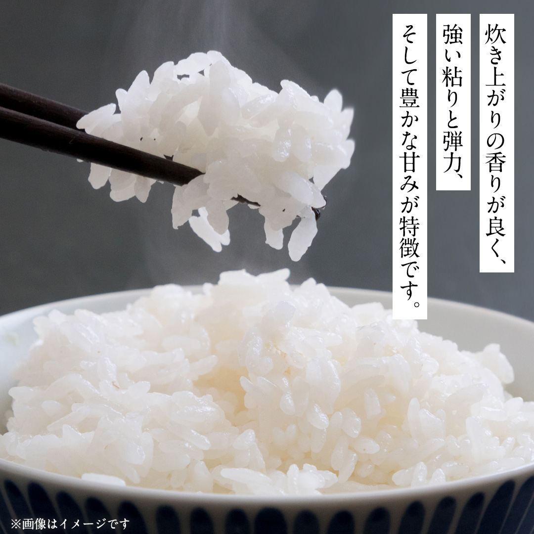 茨城県城里町産 いのちの壱 5kg (2026年産)  米 こめ (AL001)