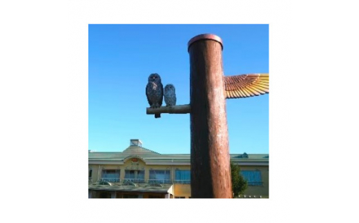 ホロルの湯　招待券　5枚 (BG003)