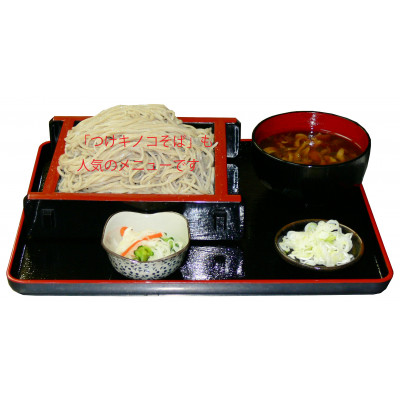 道の駅かつら専用商品券A　3,000円分(500円×6枚のセット) (AF00