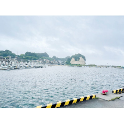 しらす干し 天日乾燥 800g(400g×2) ＜茨城県共通返礼品＞(北茨