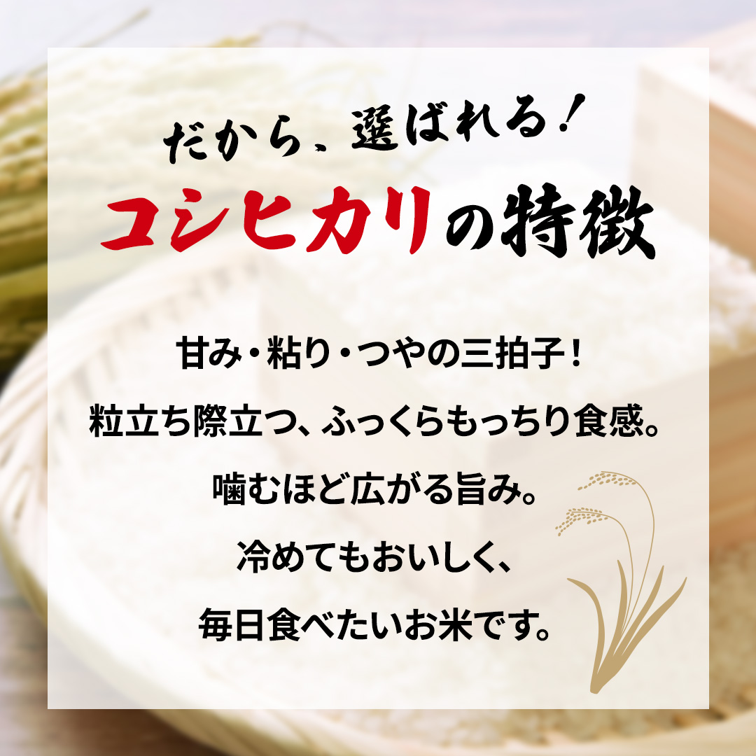 【最短3～7営業日出荷】 コシヒカリ 精米 5kg 令和7年産 産地