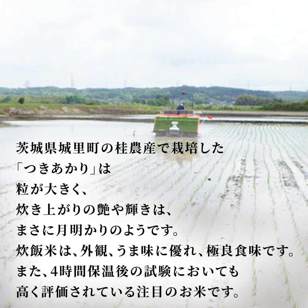 つきあかり 10kg (5kg×2袋) 令和7年産 精米 米 コメ こめ 単一