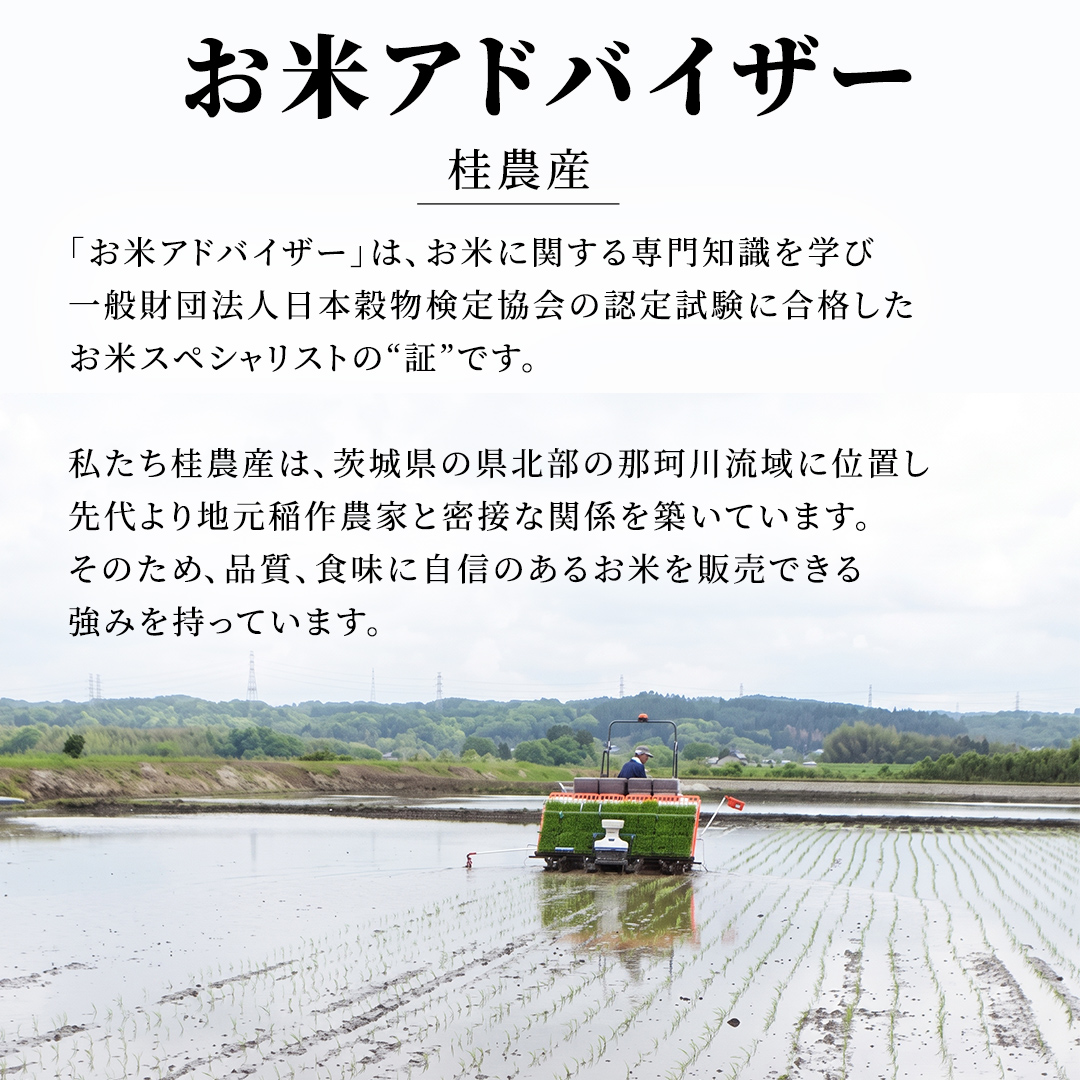 【無洗米】3ヵ月定期便 洗わず炊ける！令和8年産 コシヒカ
