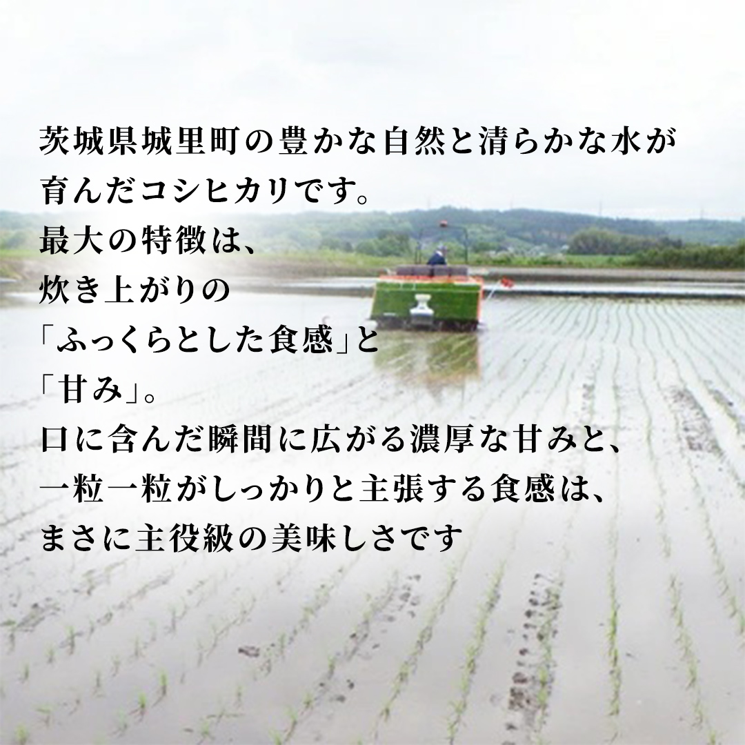 【 6回 定期便（9月～出荷）】 コシヒカリ 20kg ×6回 令和8年 