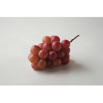 旬なぶどう おまかせ 食べ比べ 700g × 4房 ＜2026年8月より順