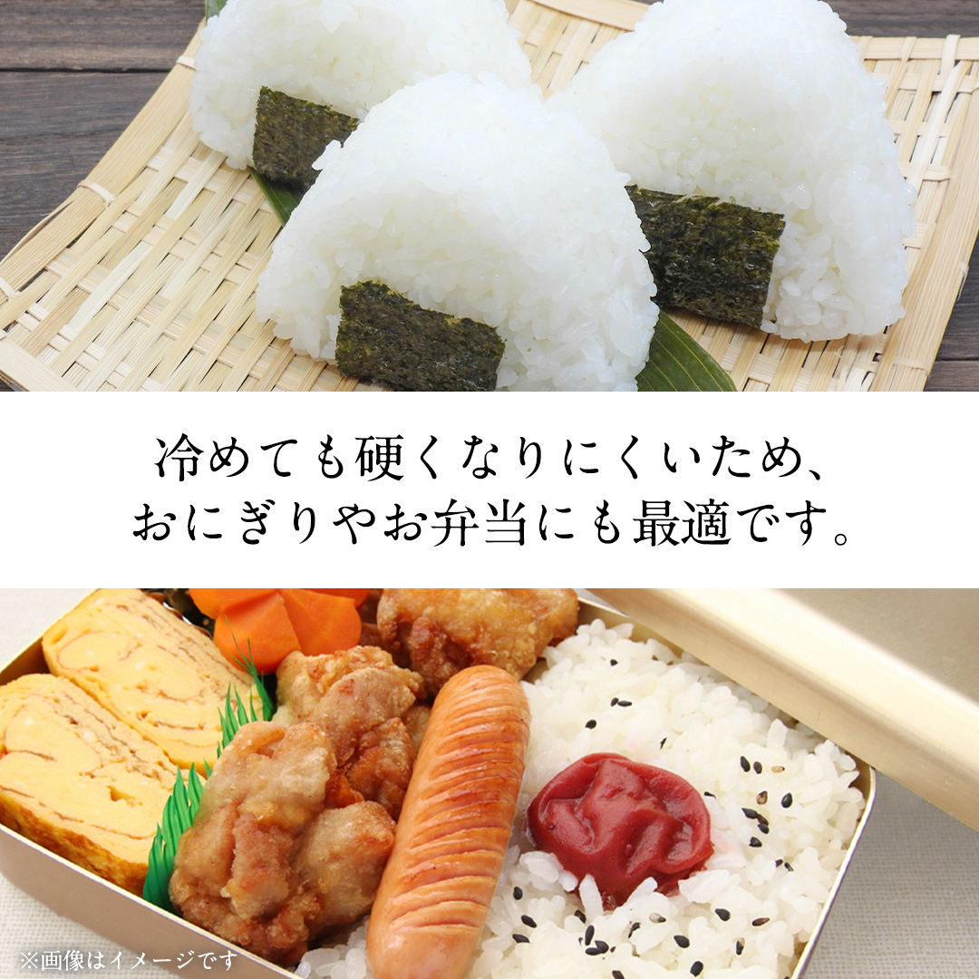 茨城県城里町産 いのちの壱 5kg (2026年産)  米 こめ (AL001)