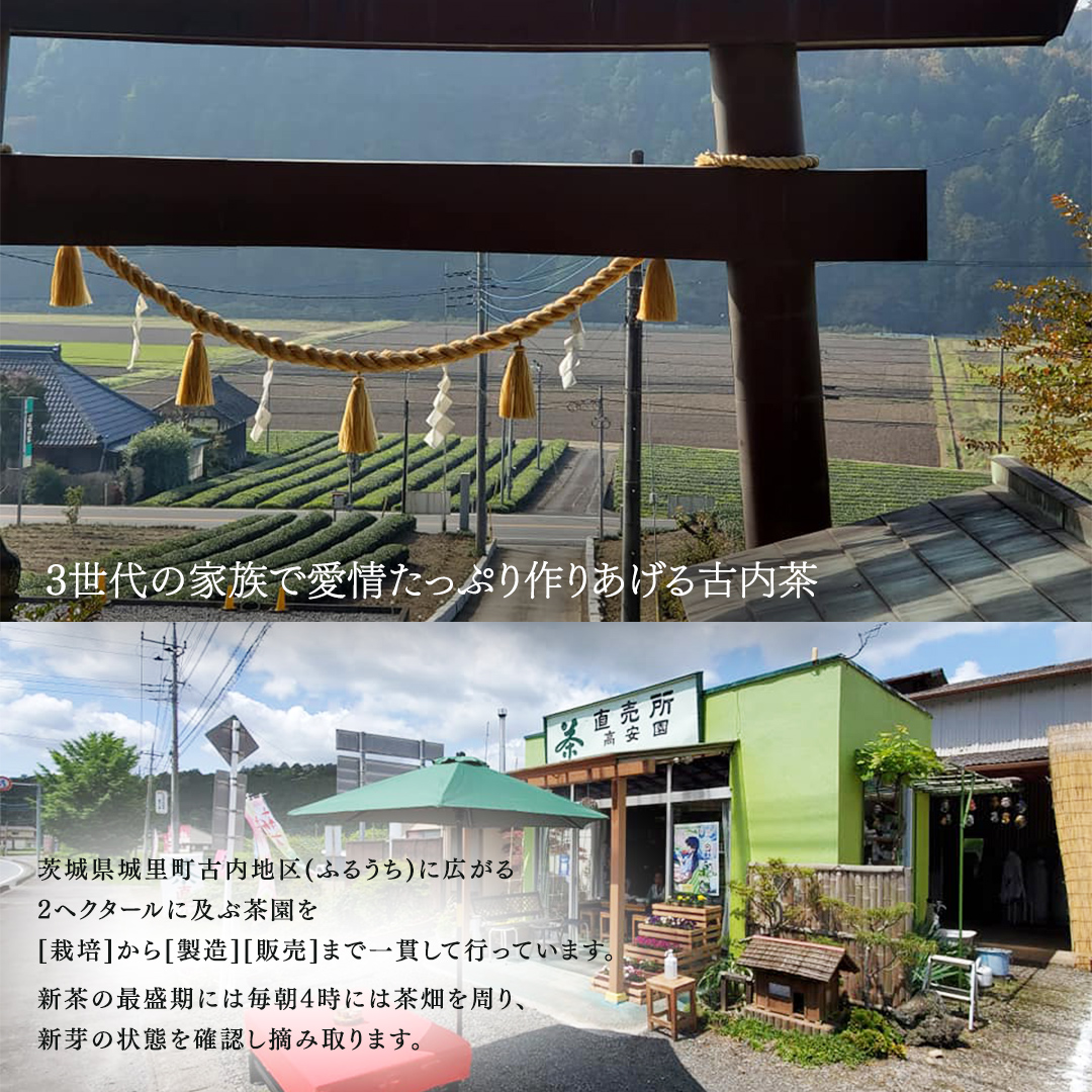 ふるうち和紅茶詰め合わせセット (AD004)