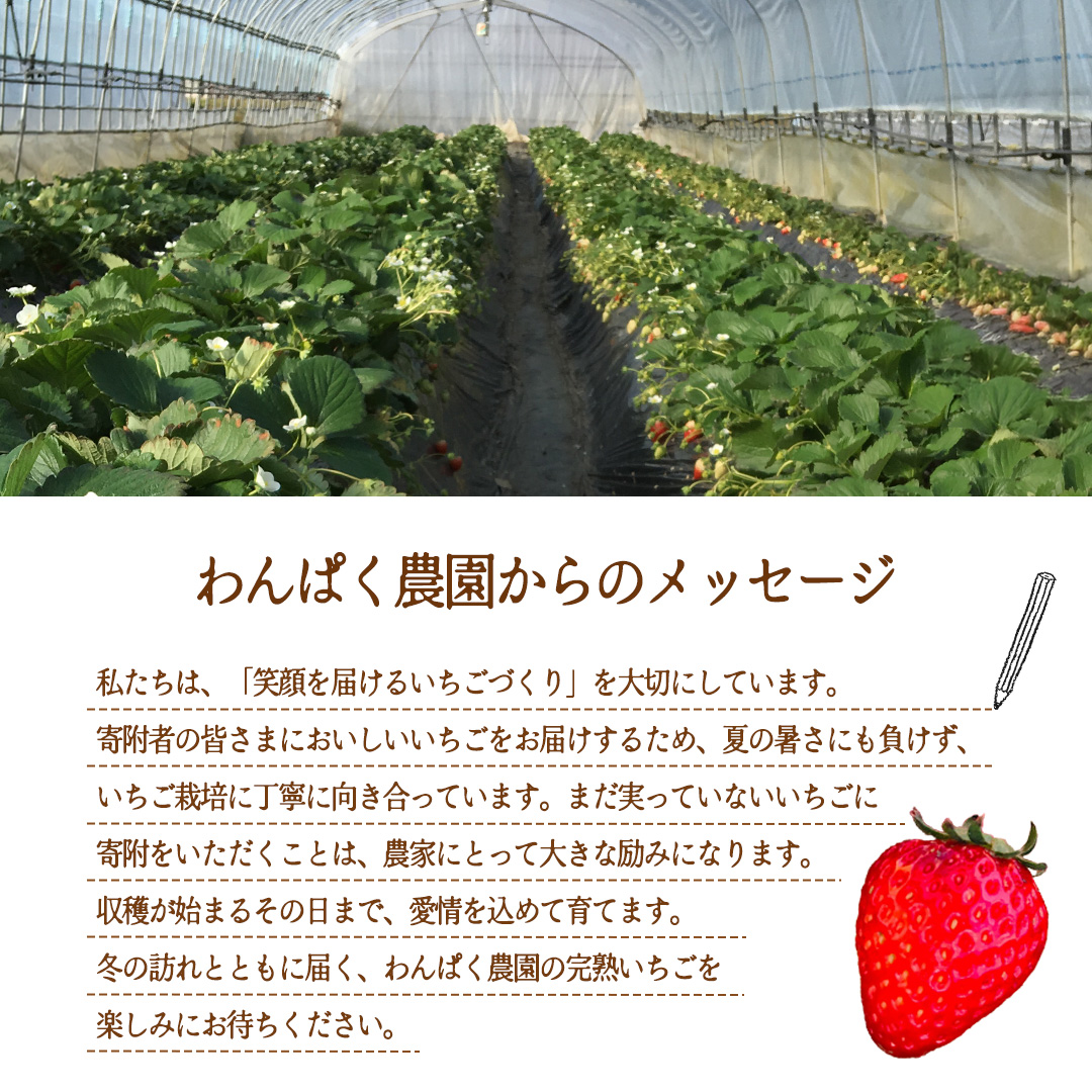 【2027年1月発送】 とちおとめ 約1kg （280g × 4パック）(BT002)