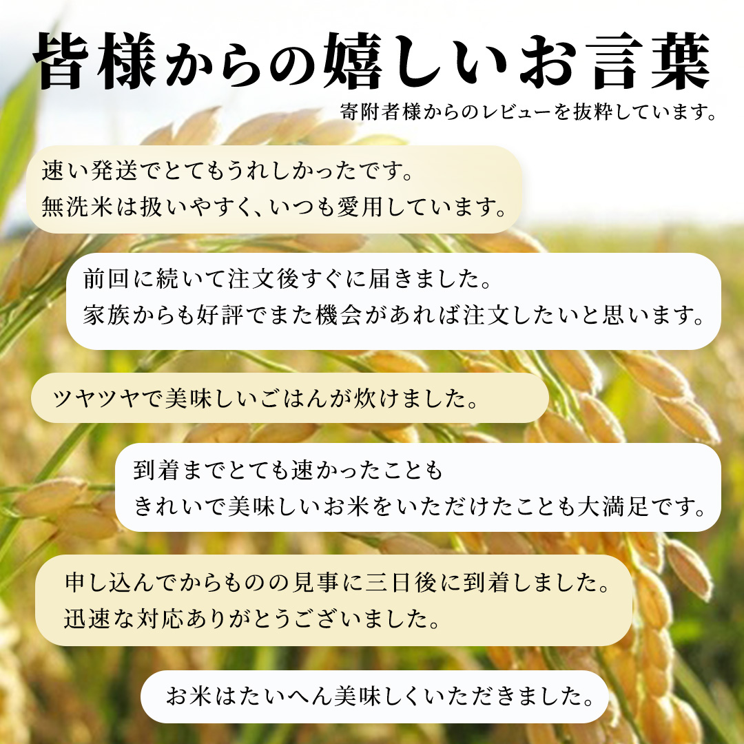 ≪新米≫【無洗米】コシヒカリ ホタル米 20kg スピード発送 
