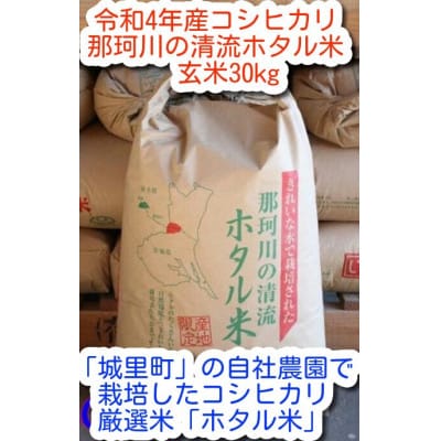 那珂川の清流ホタル米 玄米30kg 検査1等米令和4年産コシヒカリ (玄米)【配送不可地域：離島】: 城里町ANAのふるさと納税