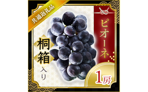 ピオーネ 桐箱入り 1房 ＜2026年7月より順次発送予定＞ (県内