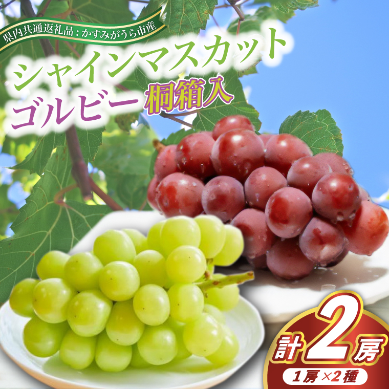シャインマスカット と ゴルビー 桐箱入り 2房 ＜2026年9月よ
