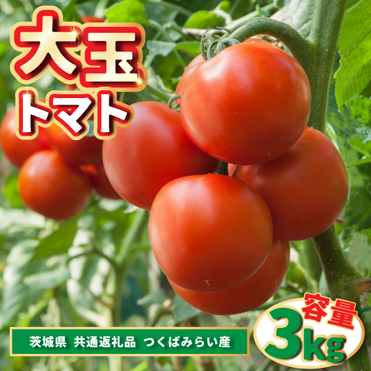 大玉トマト　3kg (県内共通返礼品:つくばみらい市産) (BR086)
