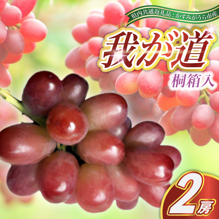 我が道 桐箱入り 2房 ＜2026年8月より順次発送予定＞ (県内共