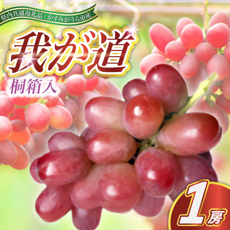 我が道 桐箱入り 1房 ＜2026年9月より順次発送予定＞ (県内共