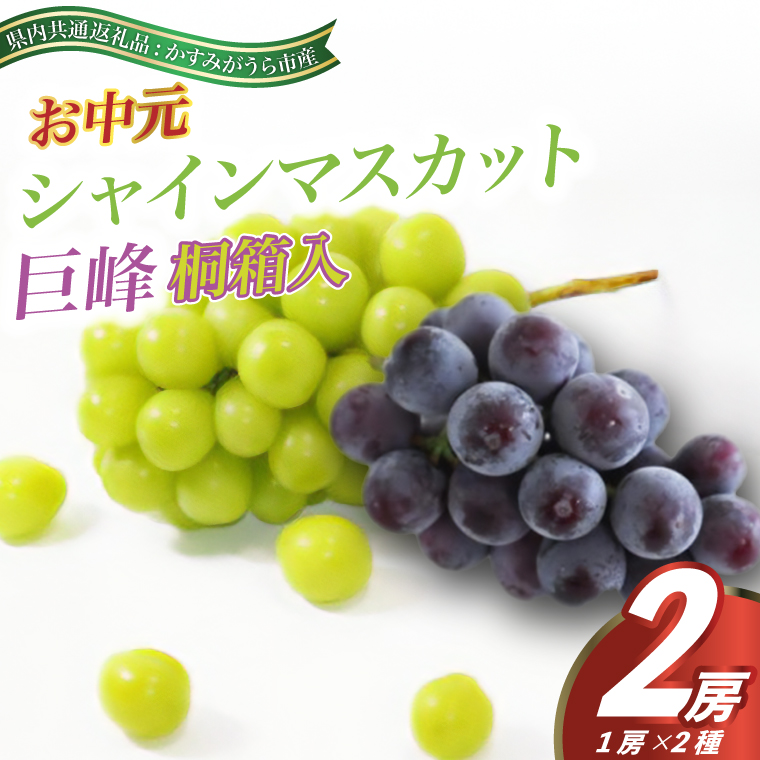 【お中元 熨斗付】 シャインマスカット と 巨峰 桐箱入り 2