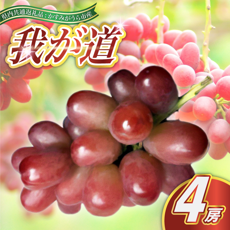 我が道 4房 ＜2026年9月より順次発送予定＞ (県内共通返礼品: