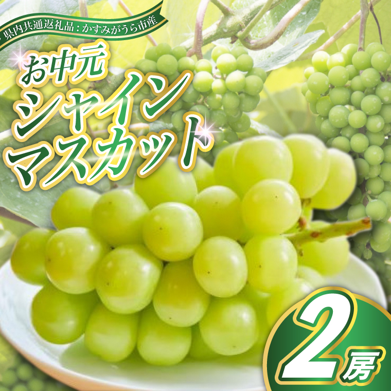 【お中元 熨斗付】 シャインマスカット 2房 ＜2026年8月より
