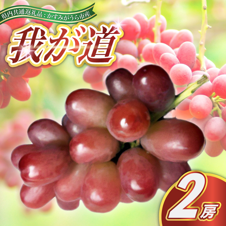 我が道 2房 ＜2026年9月より順次発送＞ (県内共通返礼品:かす