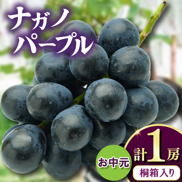 お中元桐箱入りナガノパープル1房　県内共通返礼品:かすみ