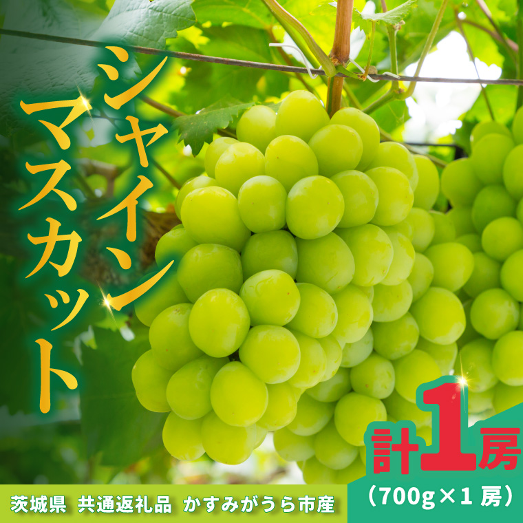 シャインマスカット 700g × 1房 ＜2026年8月より順次発送＞ (