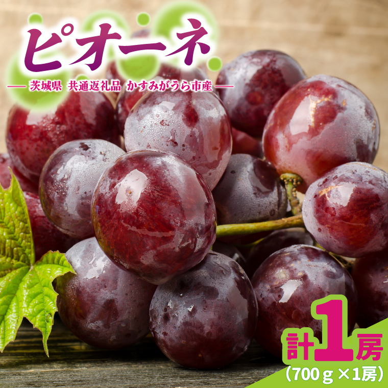 ピオーネ 700g × 1房 ＜2026年8月より順次発送＞ (県内共通返