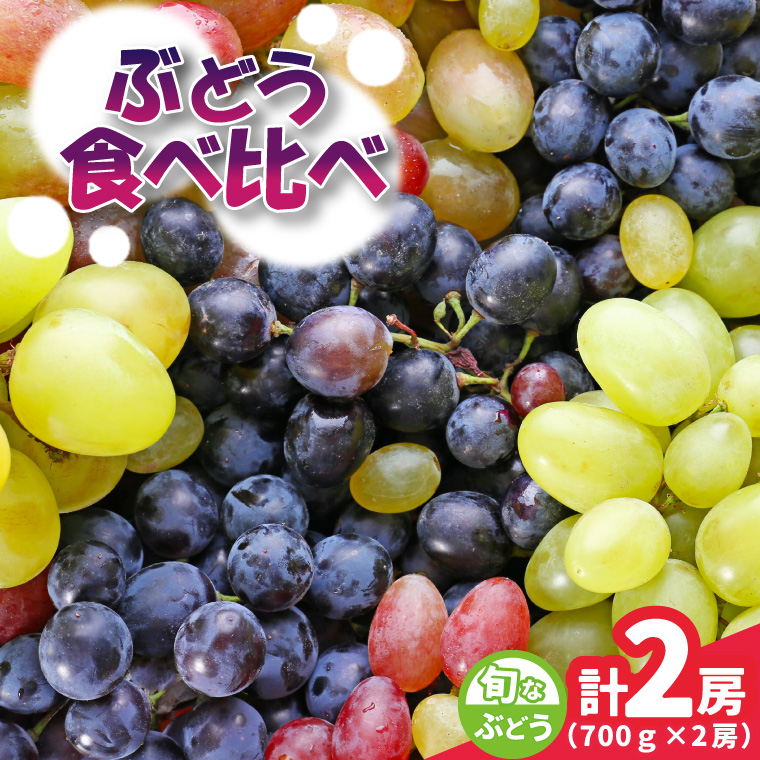 旬なぶどう おまかせ 食べ比べ 700g × 2房 ＜2026年8月より順