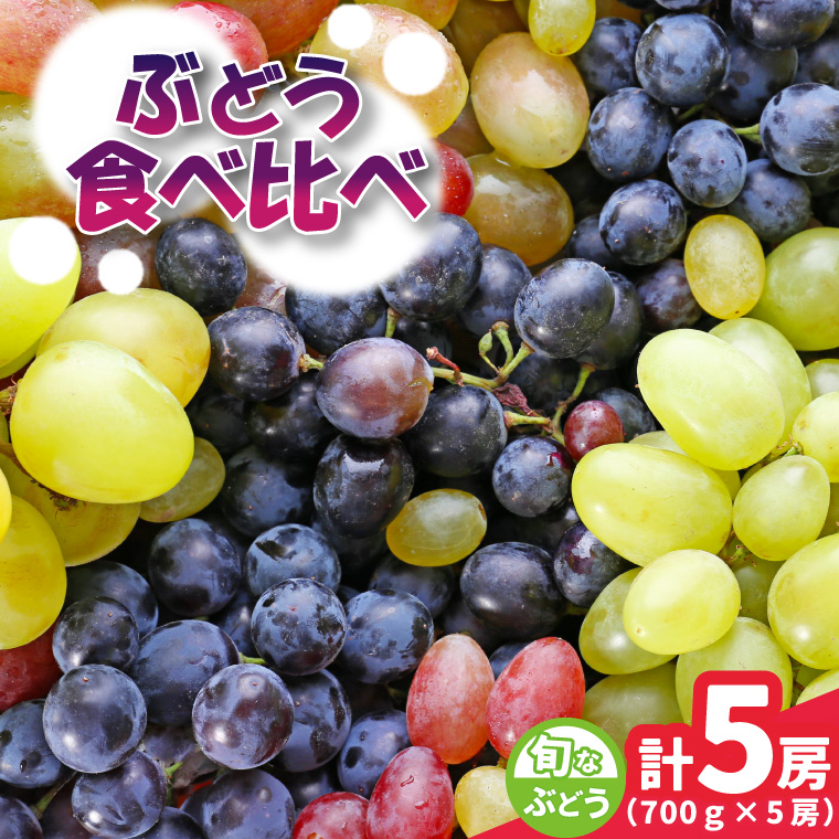 旬なぶどう おまかせ 食べ比べ 700g × 5房 ＜2026年8月より順